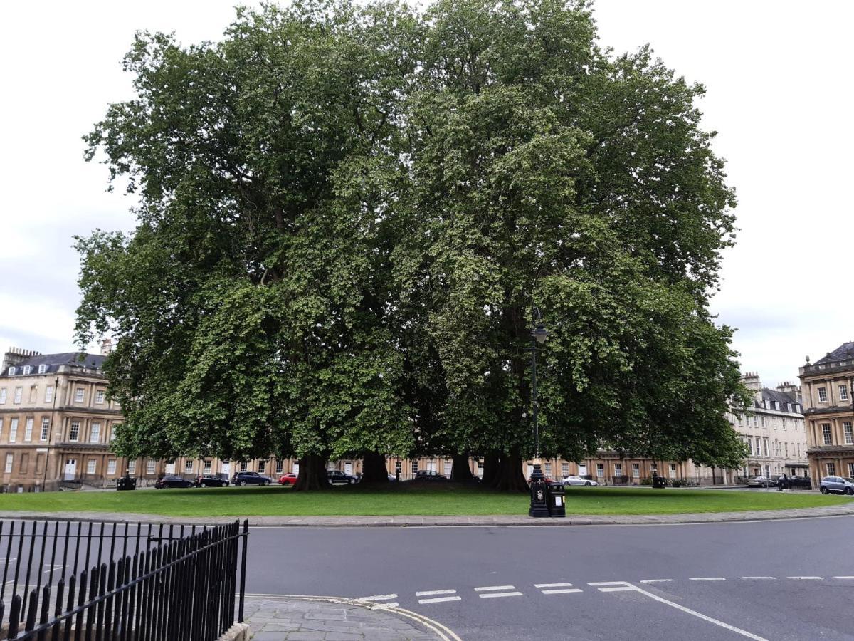 Pulteney Road Apartment Бат Екстериор снимка